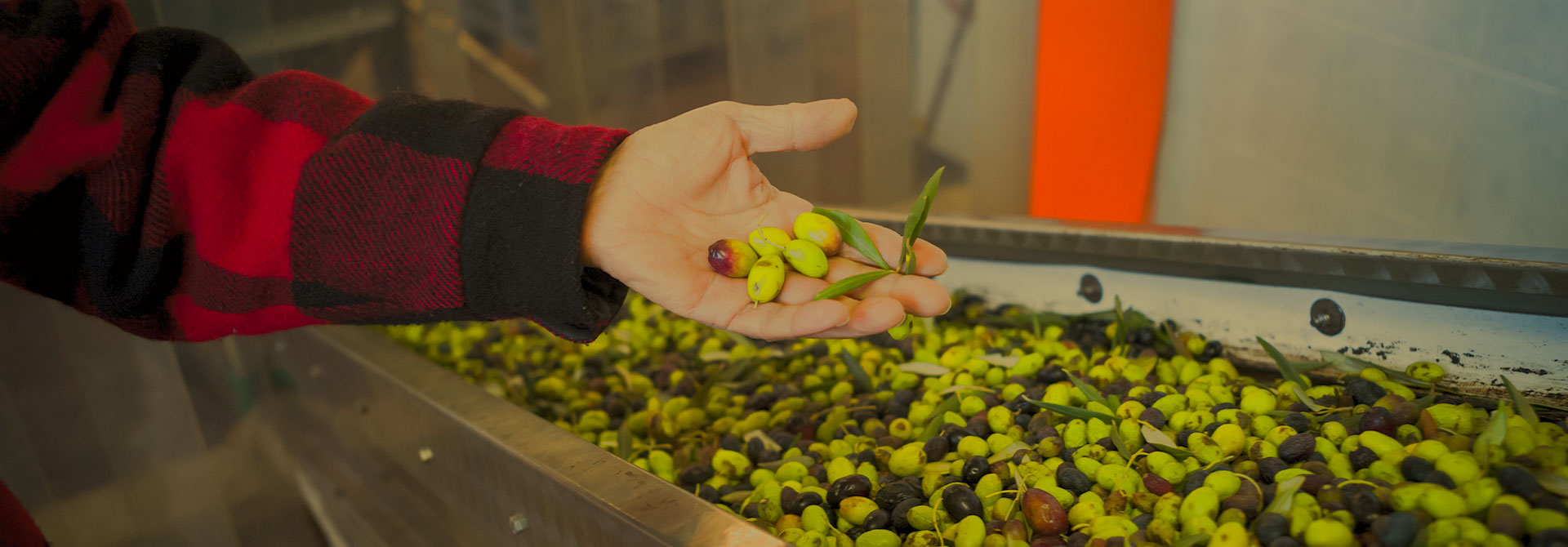 Accessibility Statement